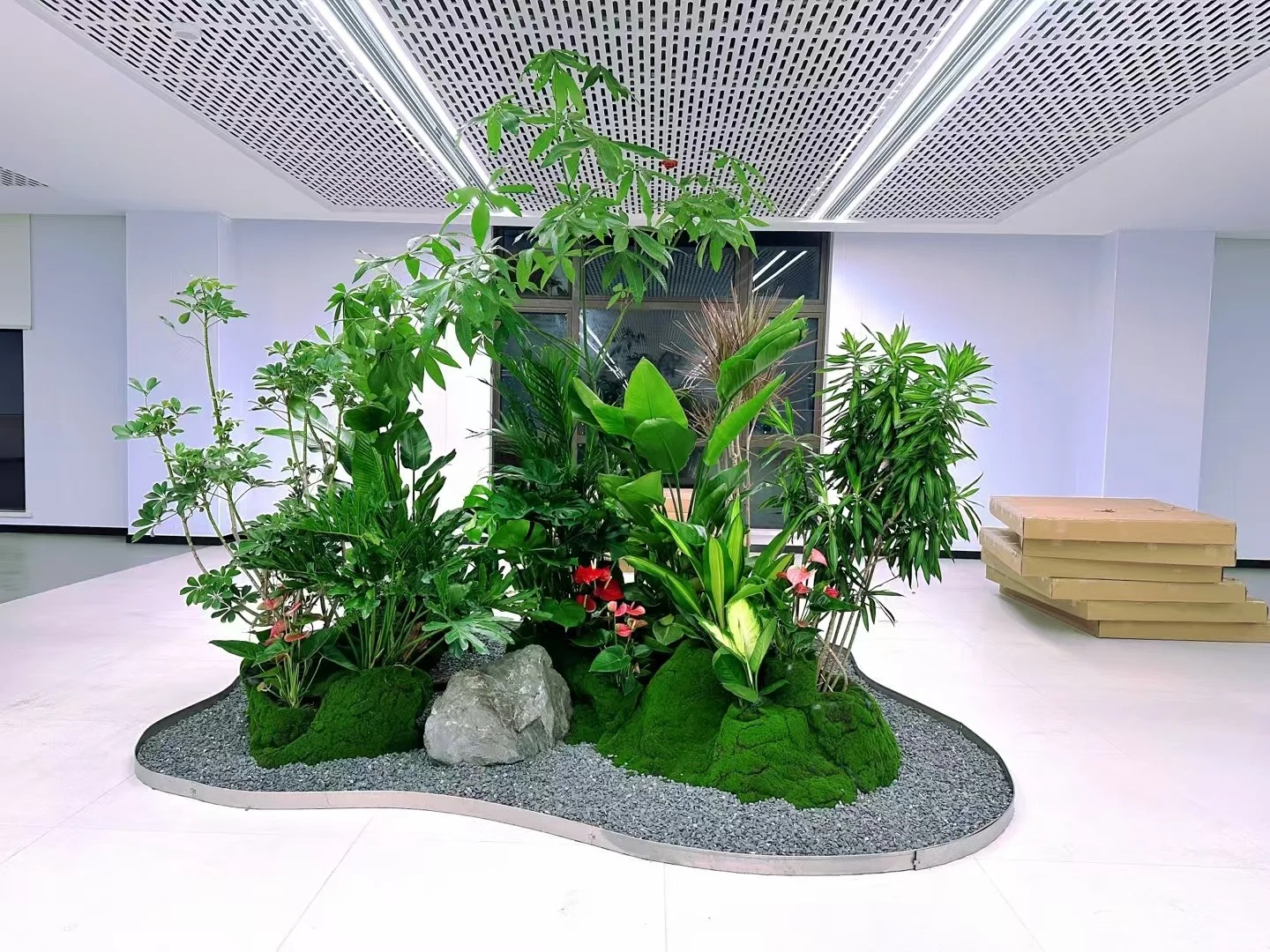 余姚专业植物租摆，让绿植为环境增添独特魅力！